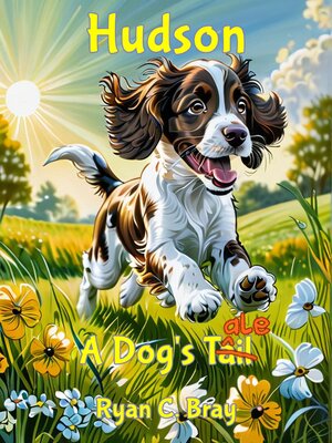 cover image of Hudson